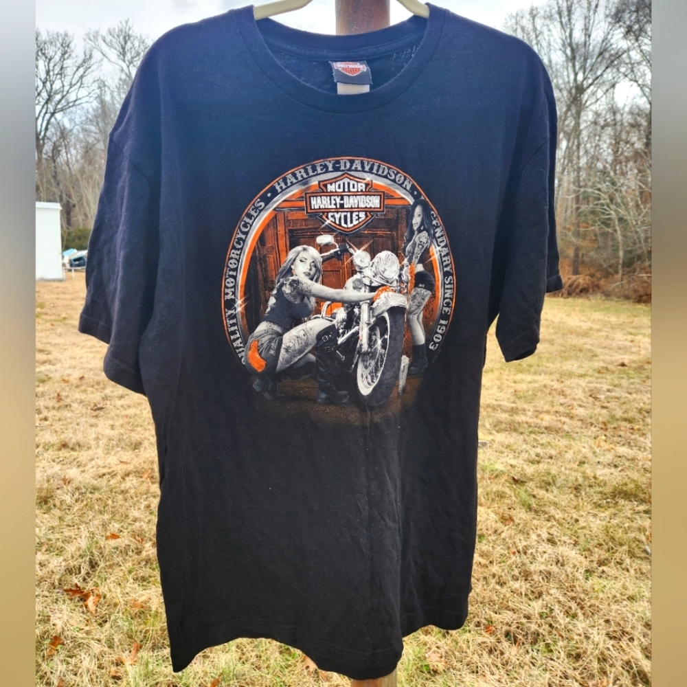 Harley-Davidson Men's Motorcycle T-Shirt XL